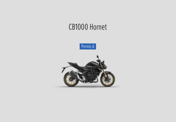 Umberto_Moto-Street_2025_1.png