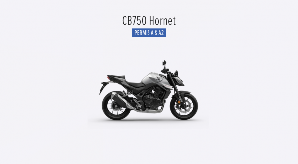 Capture d’écran 2026-03-16 à 09.50.48.png