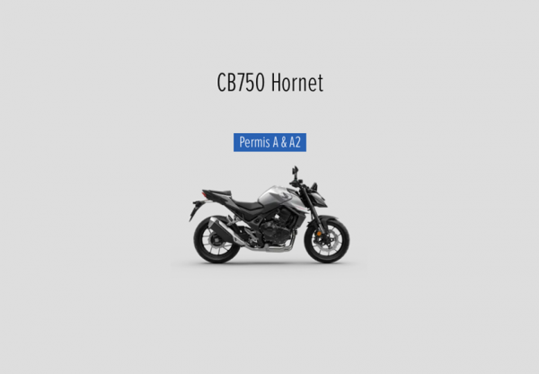 Umberto_Moto-Street_2025_2.png
