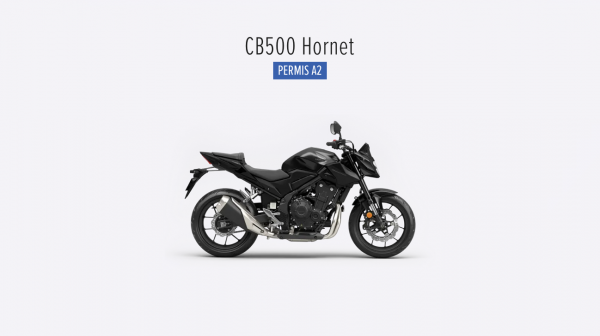 Capture d’écran 2026-03-16 à 09.51.06.png