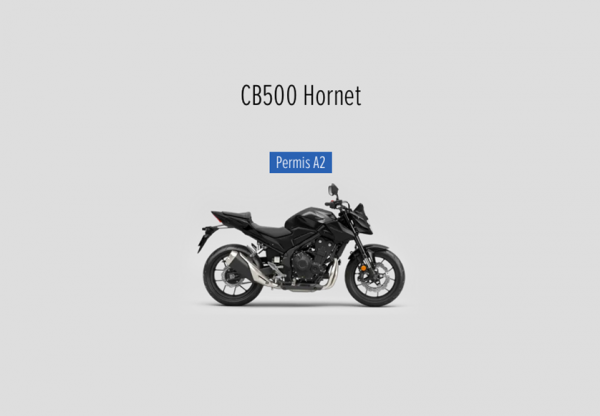 Umberto_Moto-Street_2025_4.png