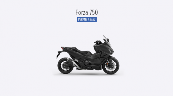 Capture d’écran 2026-03-16 à 10.00.46.png