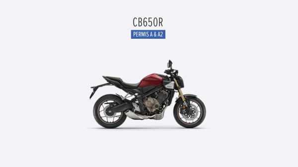 Capture d’écran 2026-03-16 à 09.50.59.png